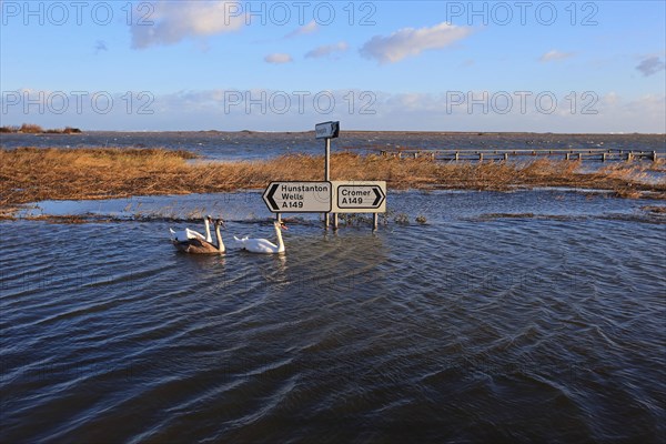 Flooded coastal road and coastal marsh after the surge
