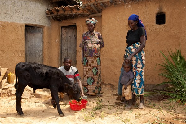 Family with young bull calf