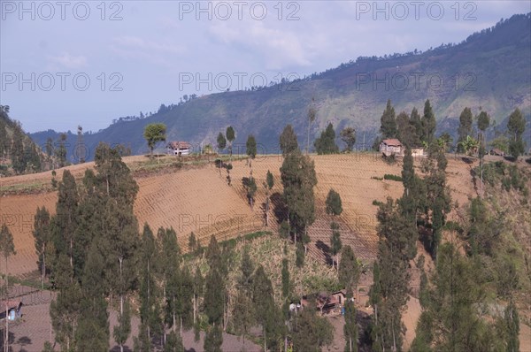 View of farmland and trees on hill slopes