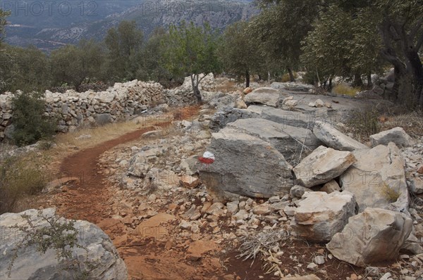 Path beside rocks and drystone wall