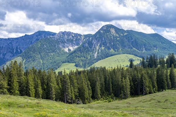 Postalm in the Salzkammergut