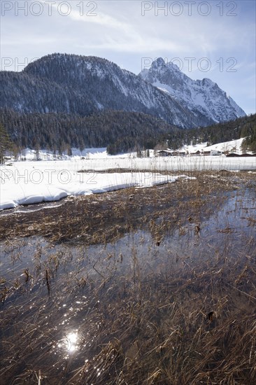 Winter landscape