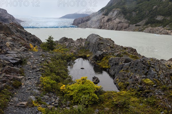 Lago Grey and Grey Glacier