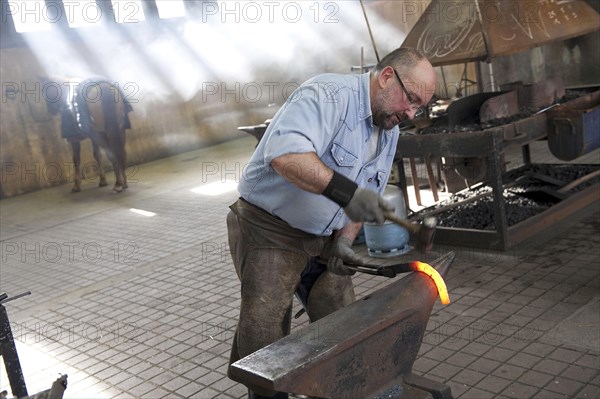 Farrier throwing horseshoes