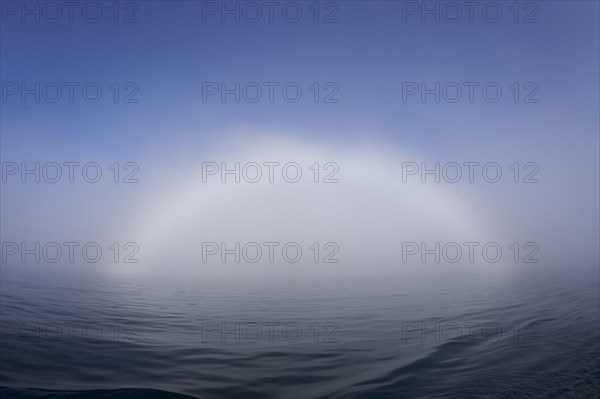 Bow of fog over calm sea