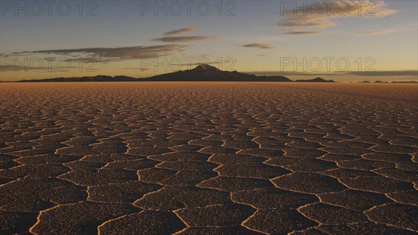 View of the hexagonal crystallisation fissures on the salt pan