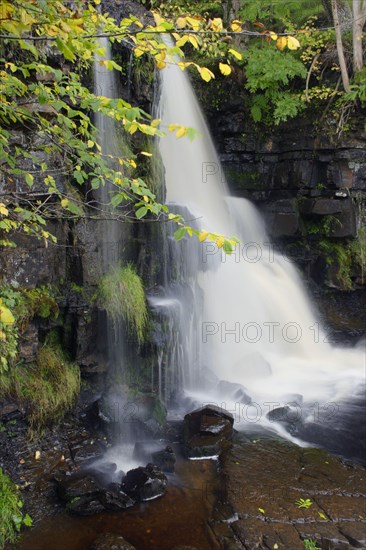 Waterfall in a woodland