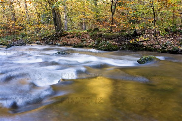 River flowing through woodland habitats in the late afternoon