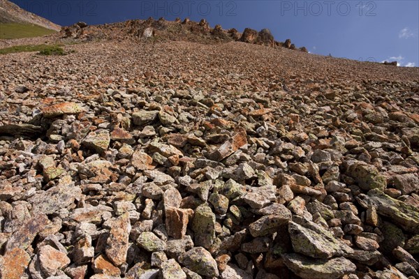 Large mountain scree slope