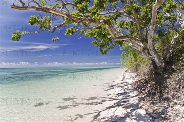 Tropical beach on small island at high tide