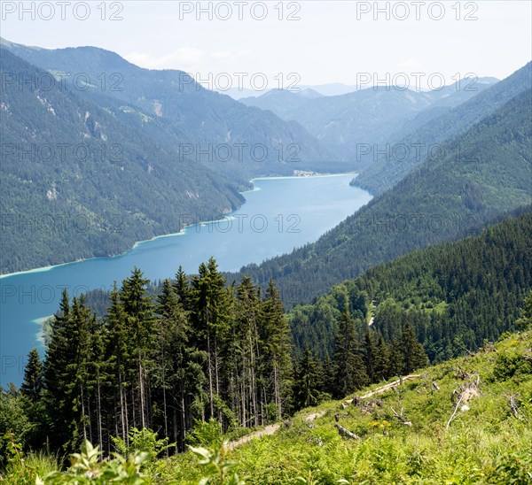 View from the Naggler Alm to the Weissensee