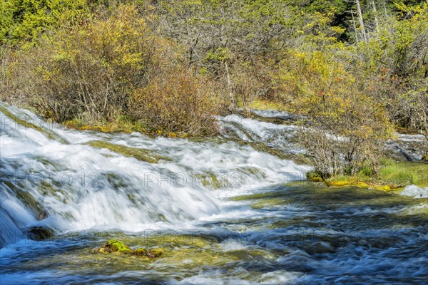 Pearl Shoal Waterfall