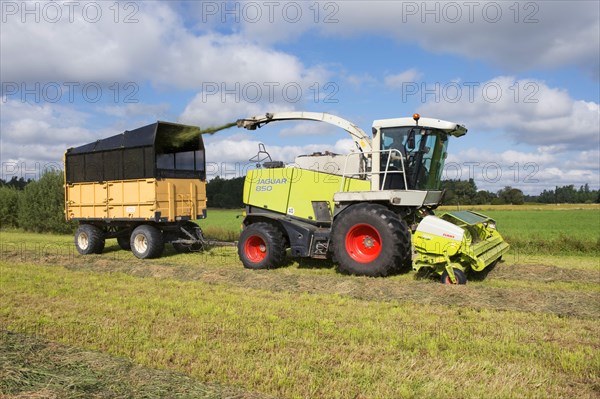 Silage harvesting