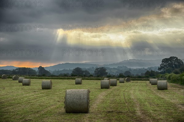 Round hay bales in a meadow with sunbeams