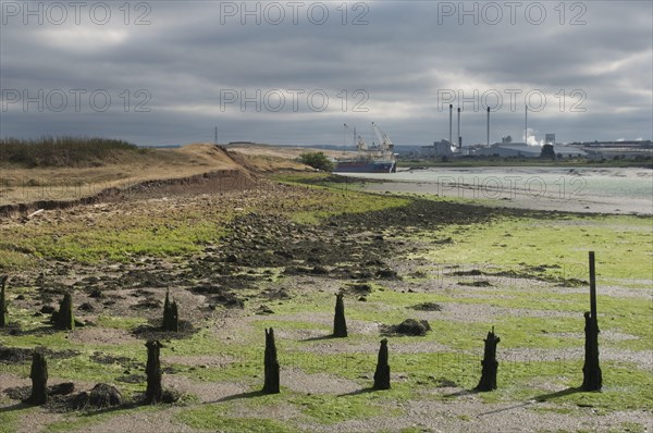 Estuary at low tide with mudflats and breakwaters