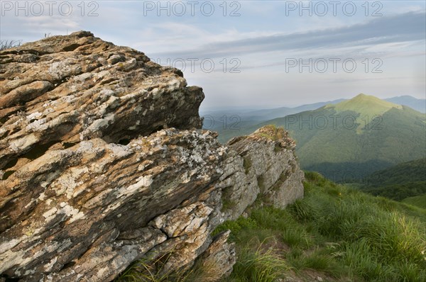 Rock formation and montane meadow habitat in evening sunlight