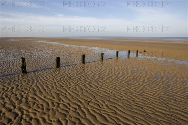 View of wet sandy beach with remains of groynes