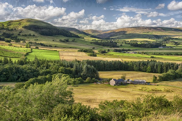 View of farmland and upland habitat
