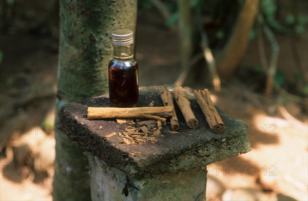 Cinnamon sticks and cinnamon extract