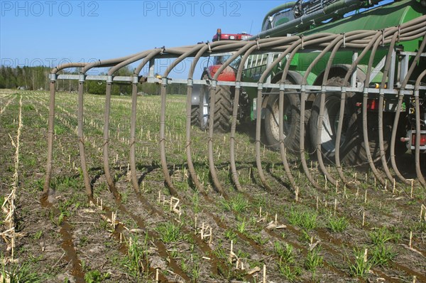 Case 225 Tractor with Samson vacuum slurry tanker and slurry injector injecting slurry into stubble field