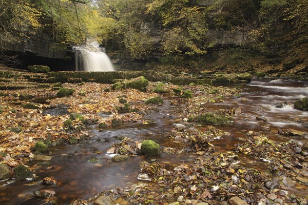 View of waterfall and autumn leaves