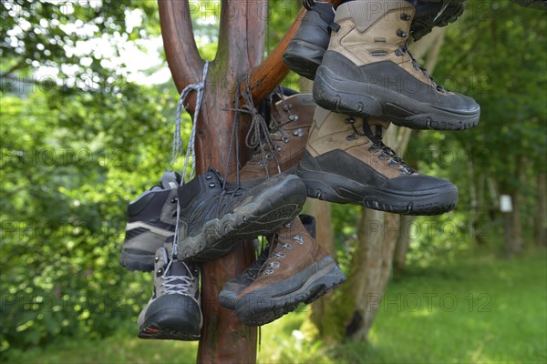 Hiking boots