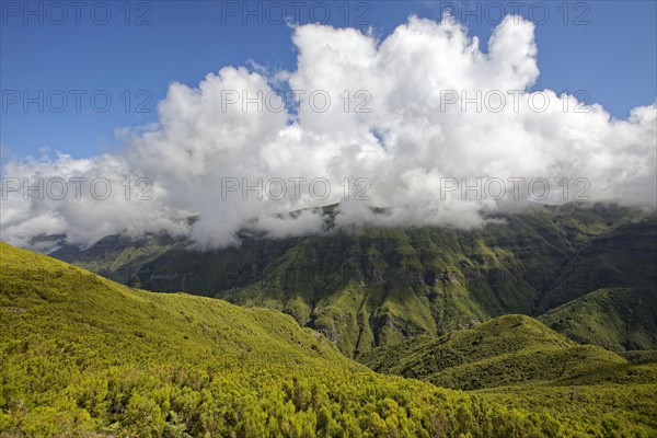 Trade wind clouds drift over the central high plateau Paul da Sierra 1400-1500 metres