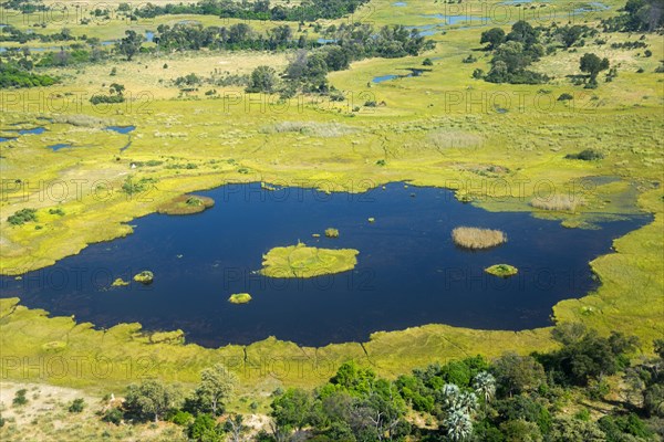 Okavango Delta