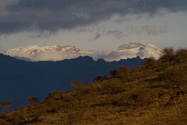 Kilimanjaro from Shira Plateau