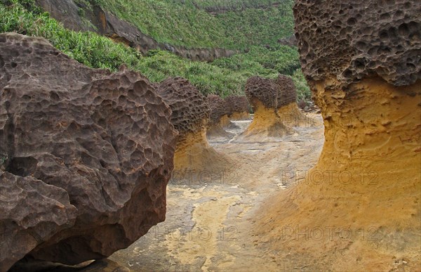 'Mushroom Rock' formations with 'honeycombed' top