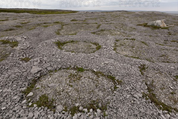 Frost polygons and other permafrost effects on Ordovician limestone