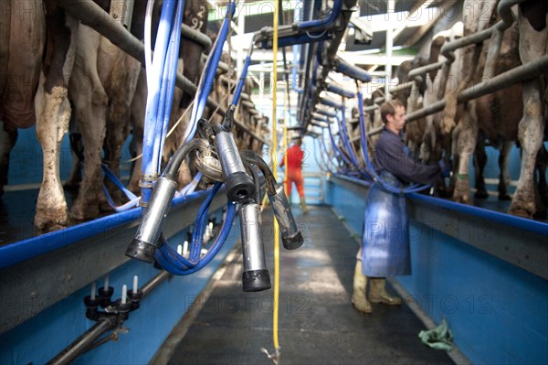 Dairy farming