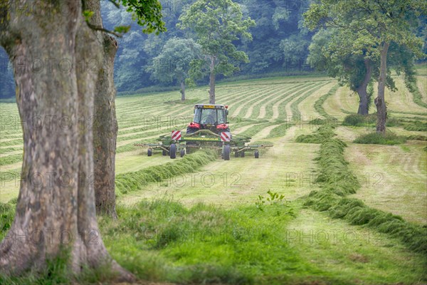 Tractor with tedder rowing grass in field with mature trees