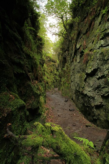 View of a deep chasm created by a massive landslide on the hillside