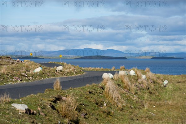 Landscape at Dooghbeg