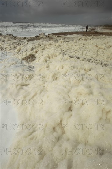 Sea foam washes up on the beach after a storm