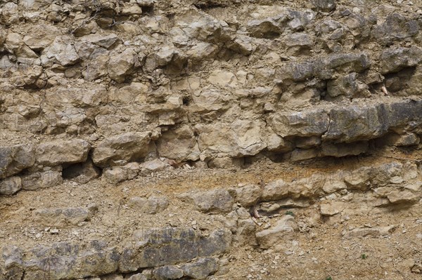 Silurian limestone in quarry