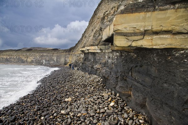 Kimmeridge cliffs with fossils exposed by winter storms