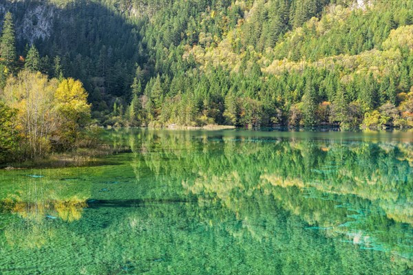 Colourful Lake