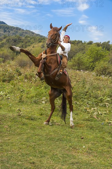 Man on a rearing horse