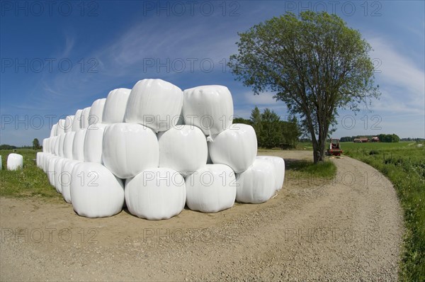Plastic wrapped round silage bales stacked at the edge of the service railway
