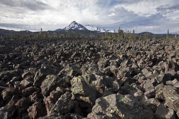 View of huge lava field habitat