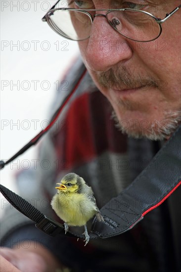 Man and young blue tit