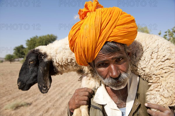 Bishnoi shepherd