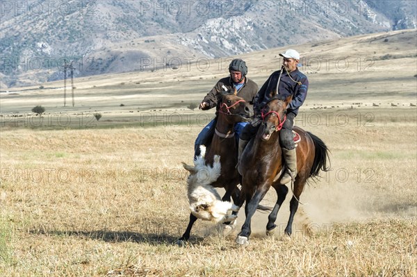 Traditional Kokpar or Buzkashi in the outskirts of Gabagly National Park