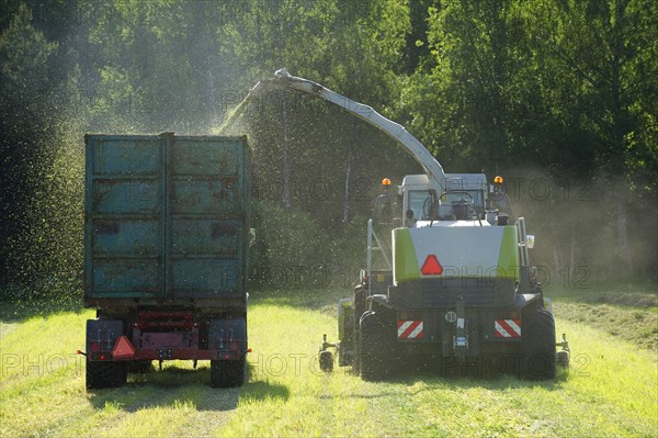 Claas Jaguar 850 forage harvester