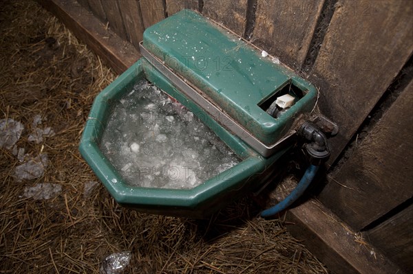 Frozen water trough in farm building