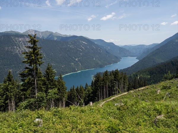 View from the Naggler Alm to the Weissensee