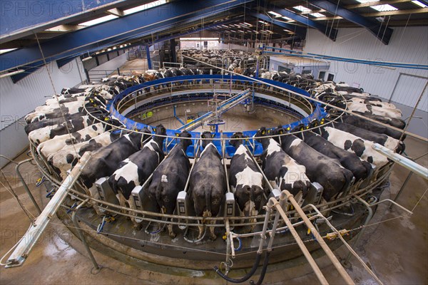 Dairy farming