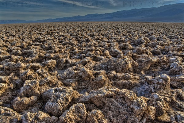 Crust of halite salt crystal formations on saltpan